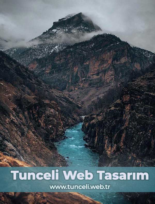 tunceli web tasarım